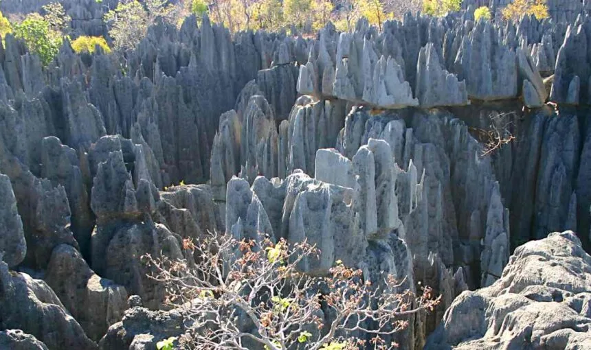 Discovering the Tsingy of Bemaraha